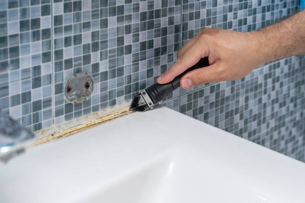 Best Toxic Mold Removal  in Wayne Heights, PA
